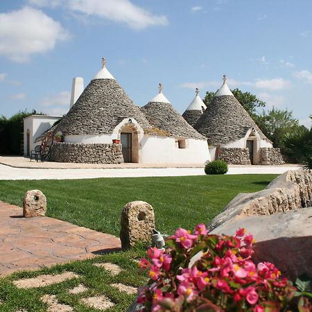 فندق جويا ديل كوليفي  Agriturismo Antico Leccio المظهر الخارجي الصورة